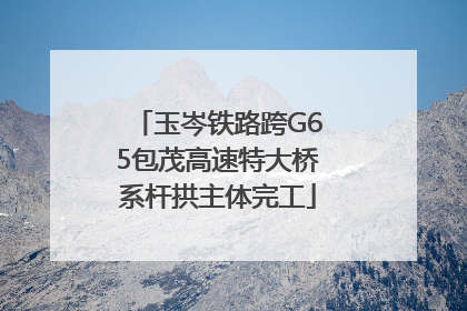 玉岑铁路跨G65包茂高速特大桥系杆拱主体完工