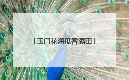 玉门花海瓜香满田