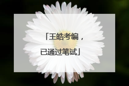 王皓考编，已通过笔试