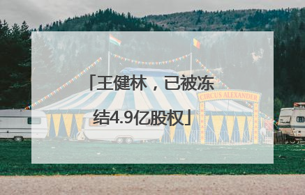 王健林，已被冻结4.9亿股权