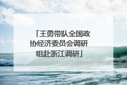 王勇带队全国政协经济委员会调研组赴浙江调研