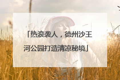热浪袭人，德州沙王河公园打造清凉秘境