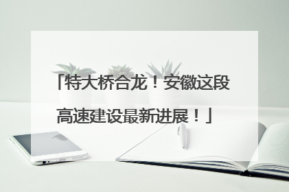 特大桥合龙！安徽这段高速建设最新进展！