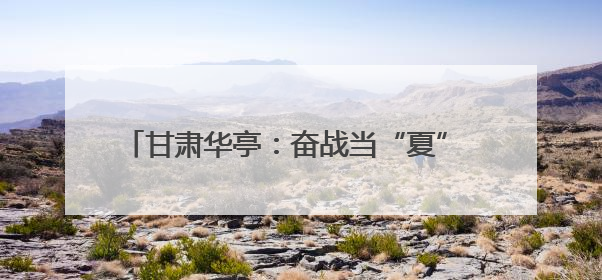 甘肃华亭：奋战当“夏” 打响项目建设攻坚大会战