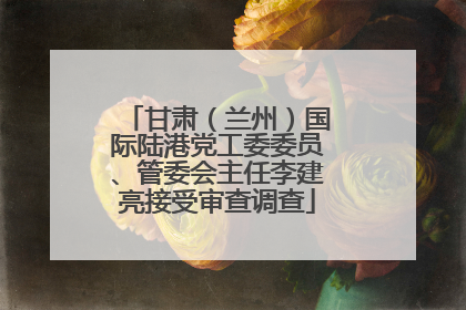 甘肃（兰州）国际陆港党工委委员、管委会主任李建亮接受审查调查