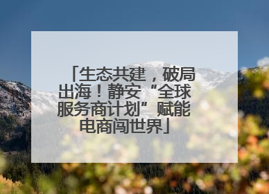 生态共建，破局出海！静安“全球服务商计划”赋能电商闯世界