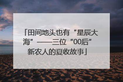 田间地头也有“星辰大海”——三位“00后”新农人的夏收故事