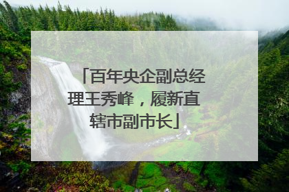 百年央企副总经理王秀峰，履新直辖市副市长