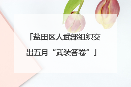 盐田区人武部组织交出五月“武装答卷”
