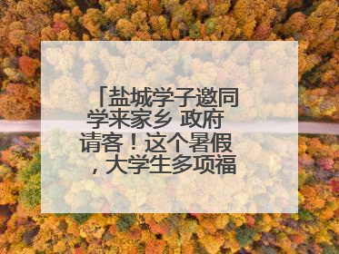 盐城学子邀同学来家乡 政府请客！这个暑假，大学生多项福利免费游盐城