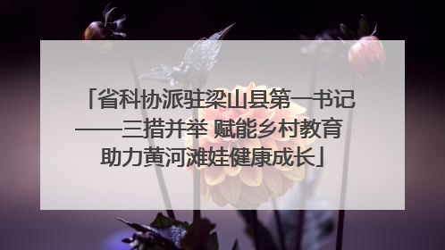 省科协派驻梁山县第一书记——三措并举 赋能乡村教育 助力黄河滩娃健康成长