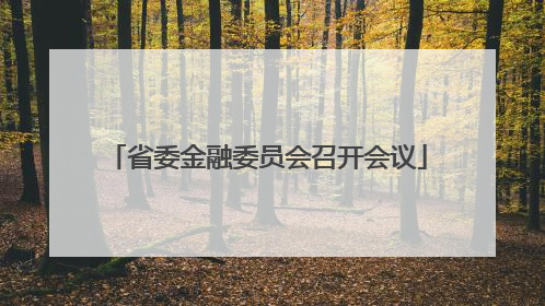 省委金融委员会召开会议