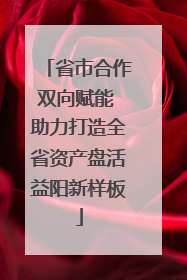 省市合作双向赋能 助力打造全省资产盘活益阳新样板