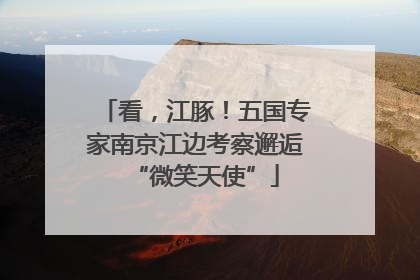 看，江豚！五国专家南京江边考察邂逅“微笑天使”