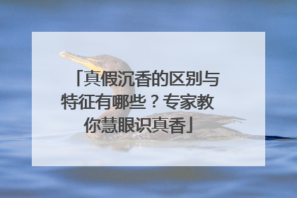 真假沉香的区别与特征有哪些？专家教你慧眼识真香