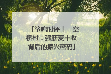 筝鸣时评丨一空桥村：强筋麦丰收背后的振兴密码