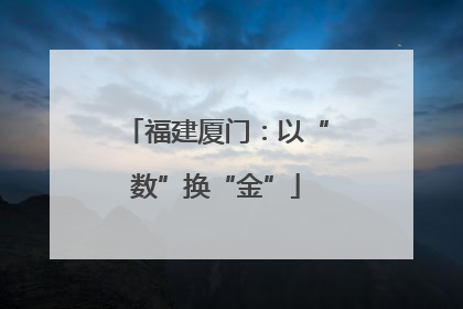 福建厦门：以“数”换“金”