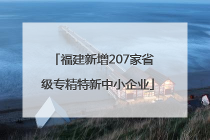 福建新增207家省级专精特新中小企业