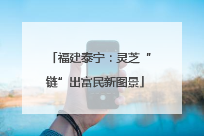 福建泰宁：灵芝“链”出富民新图景