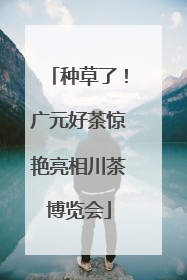 种草了！广元好茶惊艳亮相川茶博览会