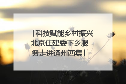 科技赋能乡村振兴 北京住建委下乡服务走进通州西集