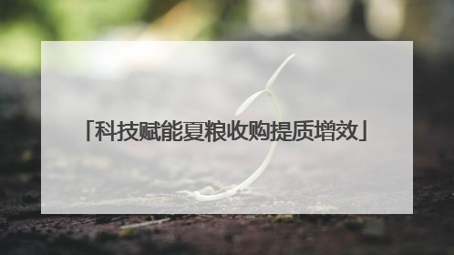 科技赋能夏粮收购提质增效