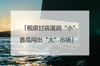 税惠甘霖滋润“小”香瓜闯出“大”市场