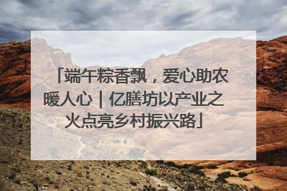 端午粽香飘，爱心助农暖人心｜亿膳坊以产业之火点亮乡村振兴路