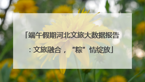端午假期河北文旅大数据报告：文旅融合，“粽”情绽放