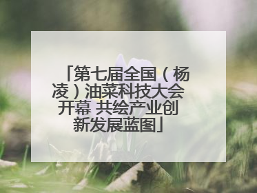 第七届全国（杨凌）油菜科技大会开幕 共绘产业创新发展蓝图