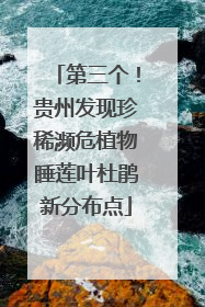 第三个！贵州发现珍稀濒危植物睡莲叶杜鹃新分布点