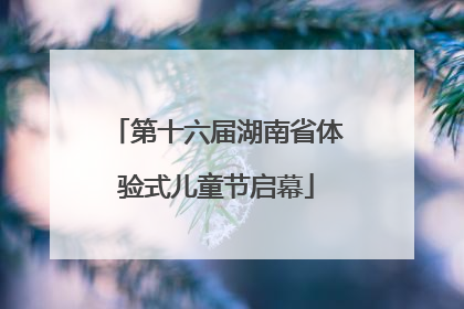 第十六届湖南省体验式儿童节启幕
