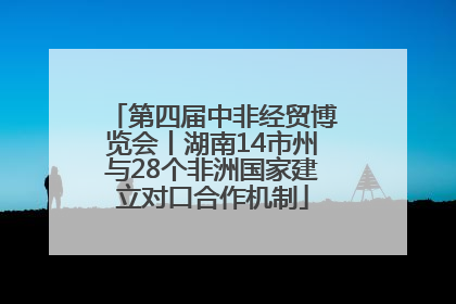 第四届中非经贸博览会丨湖南14市州与28个非洲国家建立对口合作机制