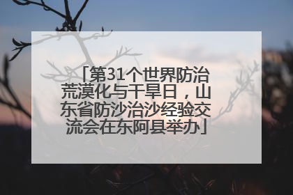 第31个世界防治荒漠化与干旱日，山东省防沙治沙经验交流会在东阿县举办