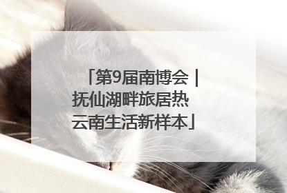 第9届南博会｜抚仙湖畔旅居热 云南生活新样本