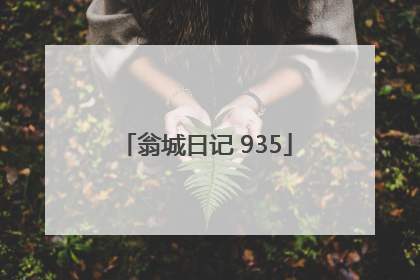 翁城日记 935