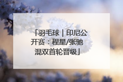 羽毛球｜印尼公开赛：程星/张驰混双首轮晋级