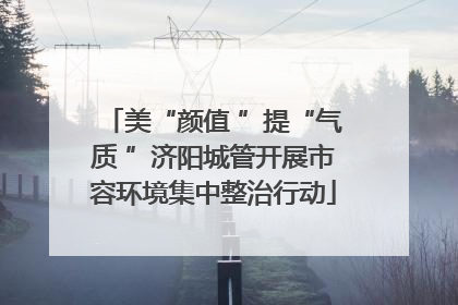 美“颜值 ”提“气质 ”济阳城管开展市容环境集中整治行动
