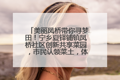 美丽凤桥带你寻梦田！宁乡夏铎铺镇凤桥社区创新共享菜园，市民认领菜土，体验耕种收获乐趣