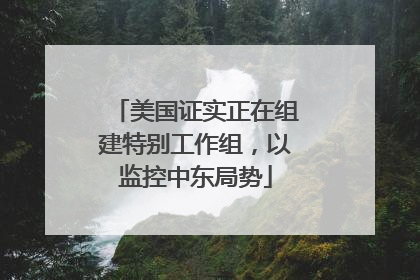 美国证实正在组建特别工作组，以监控中东局势