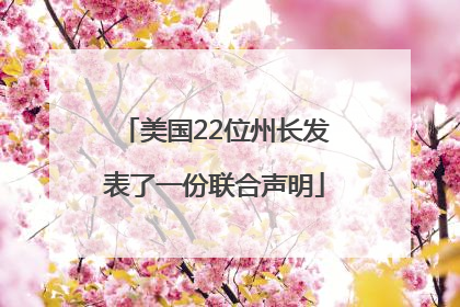 美国22位州长发表了一份联合声明