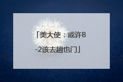 美大使：或许B-2该去趟也门