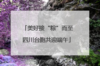 美好接“粽”而至 四川台胞共迎端午