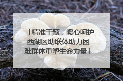 精准干预，暖心呵护 西湖区助联体助力困难群体重塑生命力量