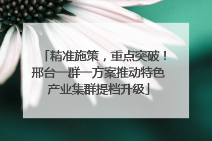 精准施策，重点突破！邢台一群一方案推动特色产业集群提档升级