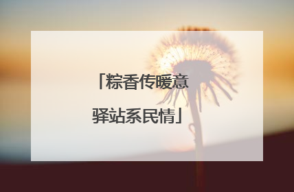 粽香传暖意 驿站系民情