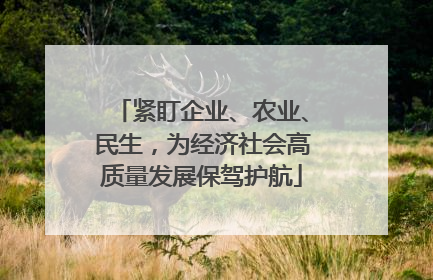 紧盯企业、农业、民生，为经济社会高质量发展保驾护航