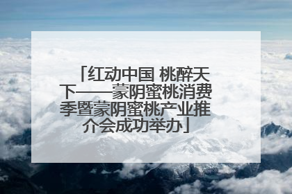 红动中国 桃醉天下——蒙阴蜜桃消费季暨蒙阴蜜桃产业推介会成功举办