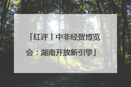 红评丨中非经贸博览会：湖南开放新引擎