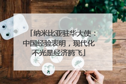 纳米比亚驻华大使：中国经验表明，现代化不光是经济腾飞